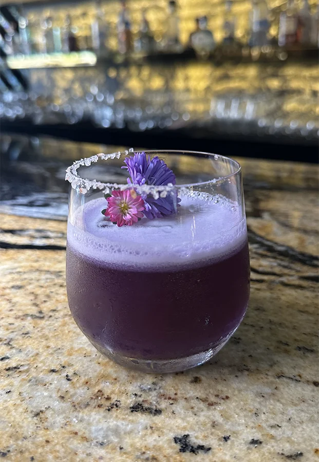 Qulture Violet Margarita
